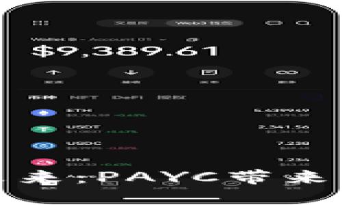 数字货币的未来：PAYC带来的机遇与挑战