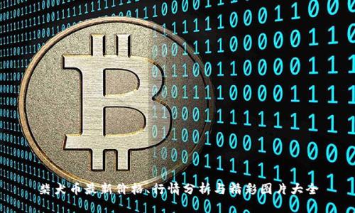 柴犬币最新价格、行情分析与精彩图片大全