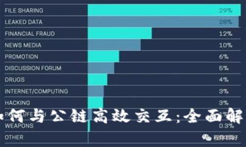 区块链钱包如何与公链高效交互：全面解析与实用指南