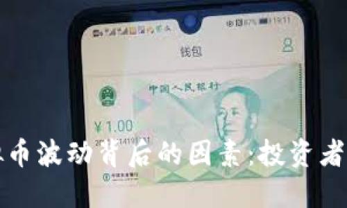 揭秘虚拟币波动背后的因素：投资者必读指南