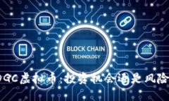 揭秘DGC虚拟币：投资机会还是风险迷局？