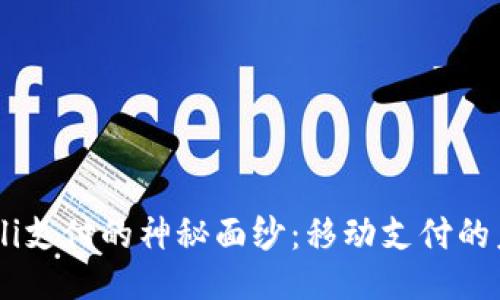 揭开Zinli支付的神秘面纱：移动支付的未来方向