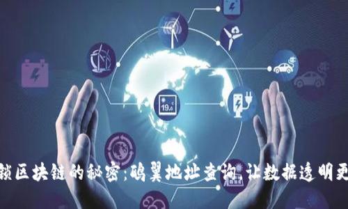 : 解锁区块链的秘密：鸥翼地址查询，让数据透明更高效