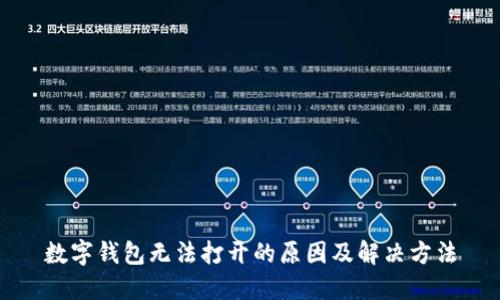 数字钱包无法打开的原因及解决方法