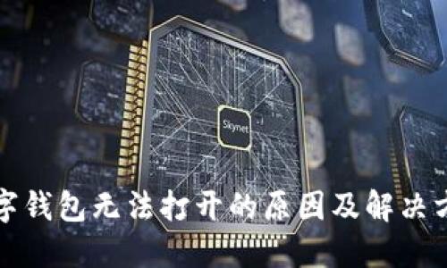 数字钱包无法打开的原因及解决方法