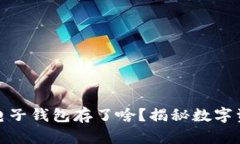 : 区块链电子钱包存了啥？