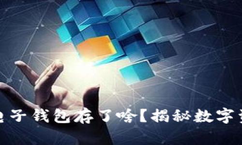 : 区块链电子钱包存了啥？揭秘数字资产的秘密