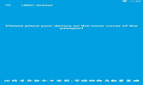 比特币价格今日分析：市场动向与投资策略