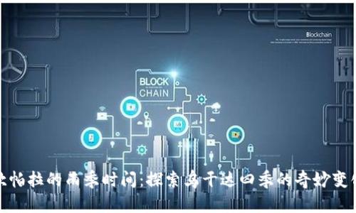 坎帕拉的雨季时间：探索乌干达四季的奇妙变化