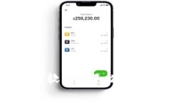 不实名、不绑卡的赚钱软