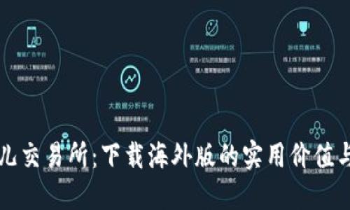 揭秘比特儿交易所：下载海外版的实用价值与操作指南