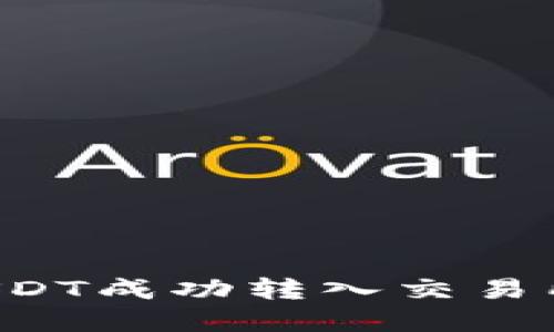 如何将钱包中的USDT成功转入交易所，详解步骤与技巧