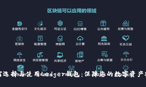 如何选择与使用Ledger钱包：保障您的数字资产安全