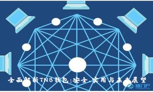 全面解析TNB钱包：安全、实用与未来展望