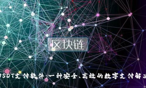 探索USDT支付软件：一种安全、高效的数字支付解决方案