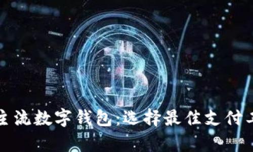 全面解析国内主流数字钱包：选择最佳支付工具的实用指南