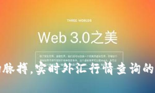 把握市场脉搏，实时外汇行情查询的实用指南