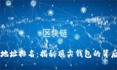 区块链钱包地址排名：揭