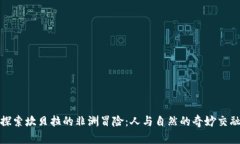 探索坎贝拉的非洲冒险：