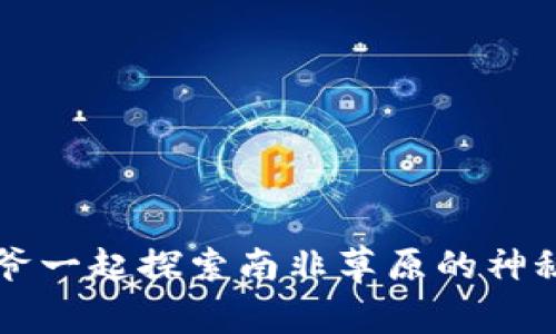 与贝爷一起探索南非草原的神秘世界