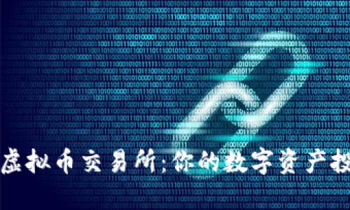 比较大的虚拟币交易所：你的数字资产投资新选择