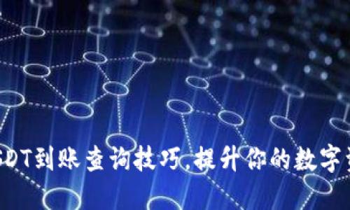  快速掌握USDT到账查询技巧，提升你的数字资产管理能力