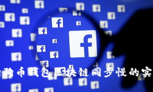 解决狗狗币钱包区块链同步慢的实用技巧