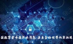 探秘中国数字货币国际大