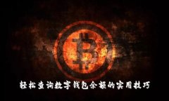 轻松查询数字钱包余额的