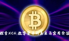 探索XCH：数字货币的未来