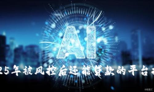 2025年被风控后还能贷款的平台揭秘