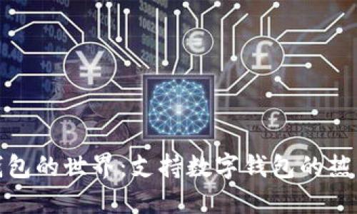 探索数字钱包的世界：支持数字钱包的热门平台详解