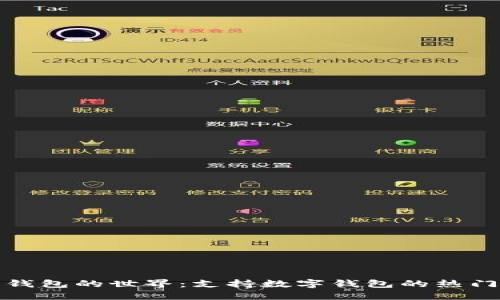 探索数字钱包的世界：支持数字钱包的热门平台详解