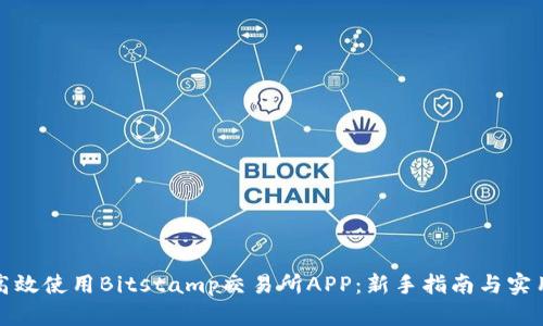 如何高效使用Bitstamp交易所APP：新手指南与实用技巧