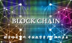 探索哈希官网：中国数字