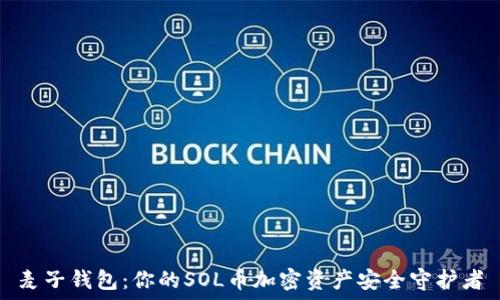   
麦子钱包：你的SOL币加密资产安全守护者
