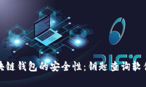 探索区块链钱包的安全性：钥匙查询软件全解析