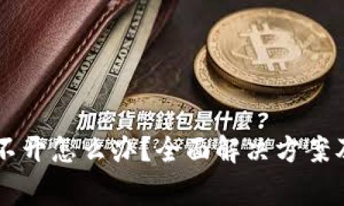 区块链钱包打不开怎么办？全面解决方案及常见问题解析