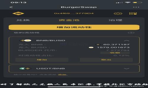 实时了解欧元兑换人民币汇率，掌握外汇市场趋势