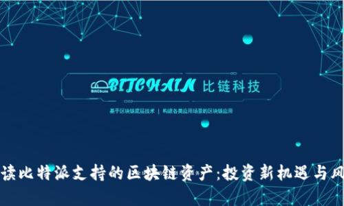 全面解读比特派支持的区块链资产：投资新机遇与风险分析