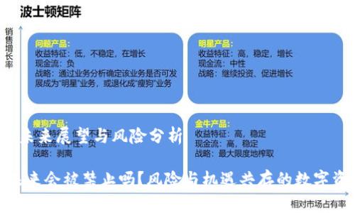 FIL币的未来展望与风险分析

FIL币：未来会被禁止吗？风险与机遇共存的数字资产解读