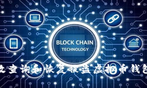 如何有效查询和恢复被盗虚拟币钱包的资金