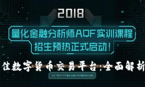 选择最佳数字货币交易平台：全面解析与推荐