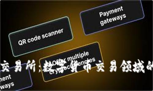 揭秘OK交易所：数字货币交易领域的领军者