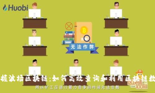 掌握波场区块链：如何高效查询和利用区块链数据