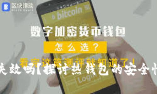 热钱包会失效吗？探讨热钱包的安全性与实用性