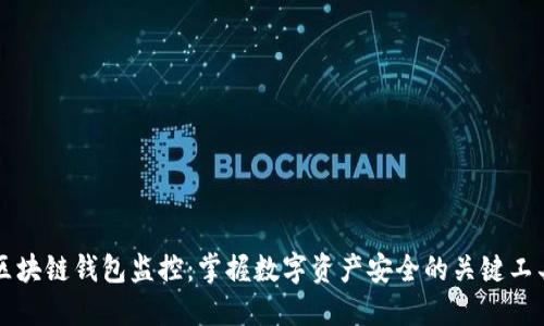 区块链钱包监控：掌握数字资产安全的关键工具