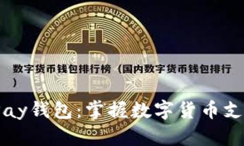 揭秘BitPay钱包：掌握数字货币支付新未来
