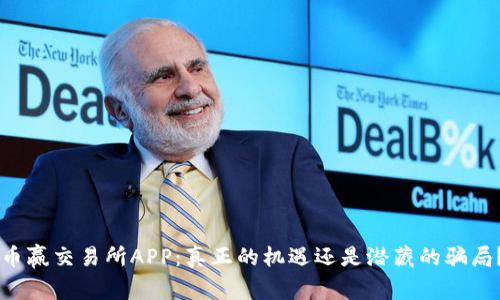 币赢交易所APP：真正的机遇还是潜藏的骗局？