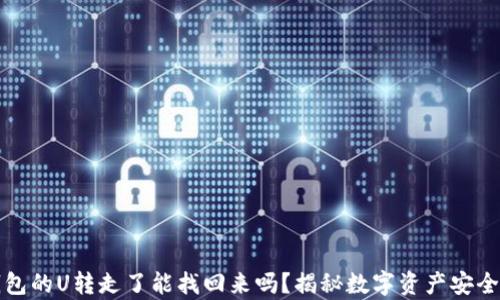 
冷钱包的U转走了能找回来吗？揭秘数字资产安全真相